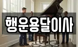 행운용달이사