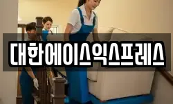 대한에이스익스프레스