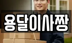 용달이사짱