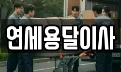 연세용달이사