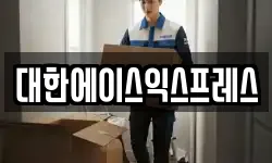 대한에이스익스프레스