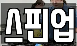 스핀업