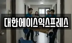 대한에이스익스프레스
