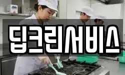 딥크린서비스