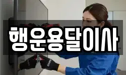 행운용달이사