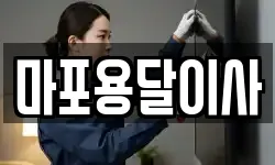 마포용달이사