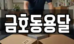 금호동용달