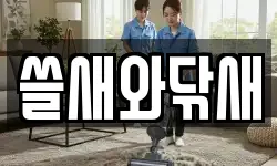 쓸새와닦새