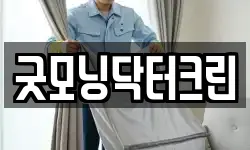 굿모닝닥터크린