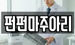 펀펀마주아리