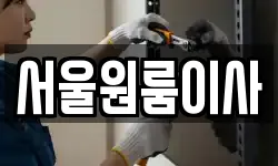 서울원룸이사