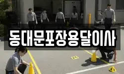 동대문포장용달이사