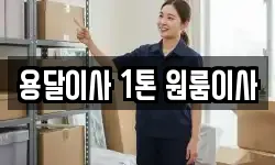서울 성동구 성수동1가 이사,용달이사,포장이사,원룸이사,보관이사