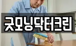 굿모닝닥터크린