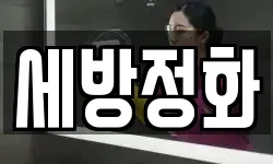 세방정화