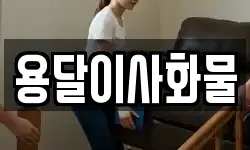 용달이사화물