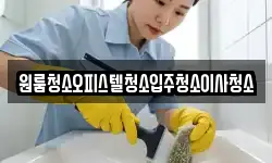원룸청소오피스텔청소입주청소이사청소