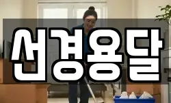 선경용달