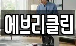 에브리클린
