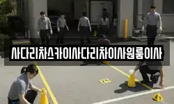 사다리차스카이사다리차이사원룸이사