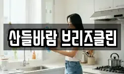 산들바람 브리즈클린
