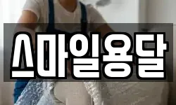 스마일용달
