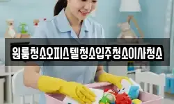 원룸청소오피스텔청소입주청소이사청소
