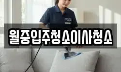 월중입주청소이사청소