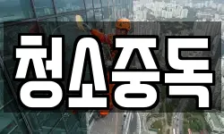 청소중독