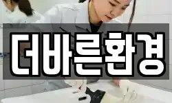 더바른환경