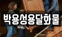 박용성용달화물