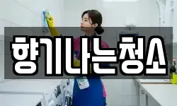 향기나는청소
