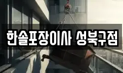 한솔포장이사 성북구점