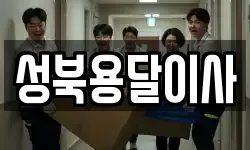 성북용달이사