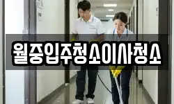 월중입주청소이사청소