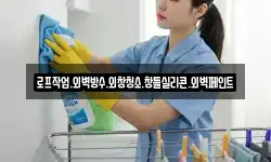 로프작업.외벽방수.외창청소.창틀실리콘.외벽페인트