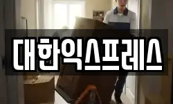 대한익스프레스