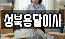 성북용달이사