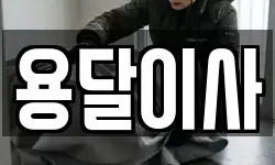 용달이사