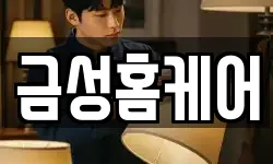 금성홈케어