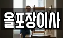 올포장이사