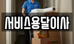 서비스용달이사