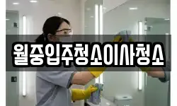 월중입주청소이사청소