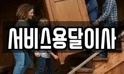 서비스용달이사