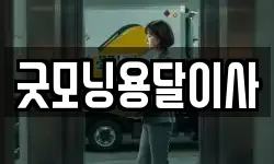 굿모닝용달이사