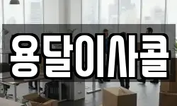 용달이사콜