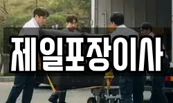 제일포장이사