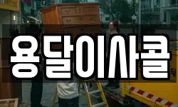 용달이사콜