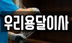 우리용달이사