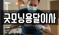굿모닝용달이사